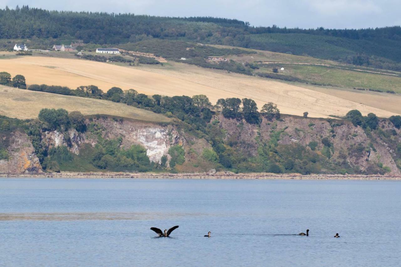 Dolphin View Hillockhead Appartement *