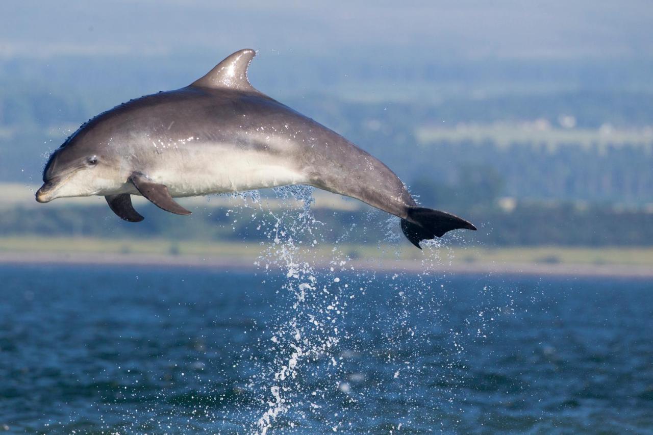 Dolphin View Hillockhead Rosemarkie